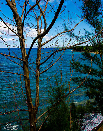 Sea view in Buff Bay, Portland