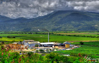 Sugar Factory in Golden Grove, St. Thomas