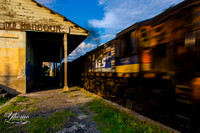 Passing Train in Old Harbour, St Catherine